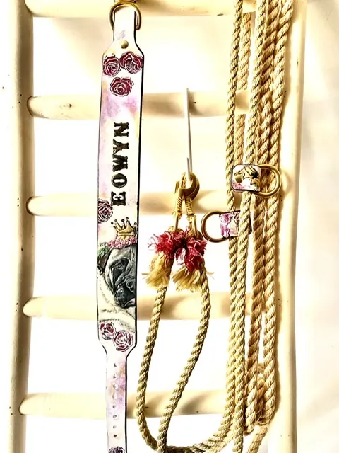 Weißes Halsband mit aufgemaltem Namenszug, dazu Leine und Tauseil