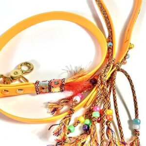 Biothane Leine Indian Summer Love