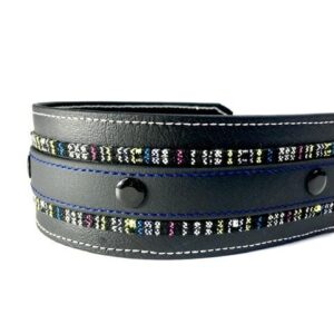 Biothane Halsband Janosch