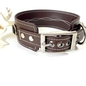 Halsband Camou Desert BioThane