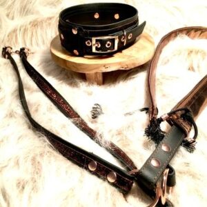 BioThane Set Bronze