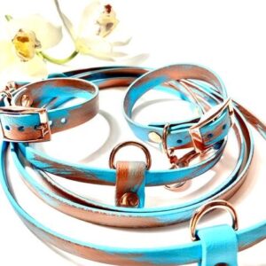 Biothane City Set Metallic Bronze