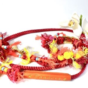 Tauleine Hippie
