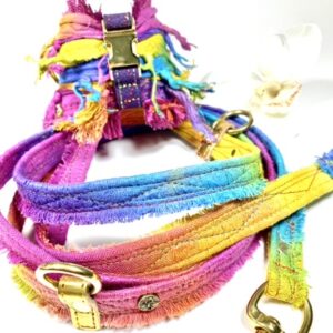 SET - Mini PaliRebell Golden Hippie