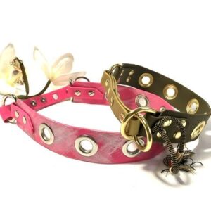 BioThane Halsband Design Bully