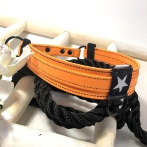 BioThane Halsband Seastar