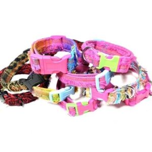 Halsband Beachie