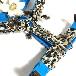 Design Geschirr African Fever
