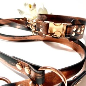 Biothane City Set Copper