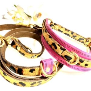Leine & Halsband Funky Leo