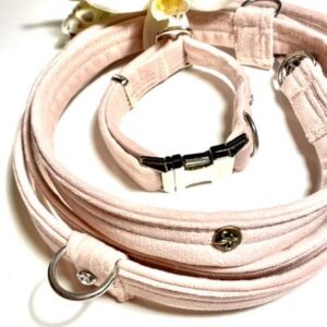 Classic Set Powder Rose Halsband & Leine