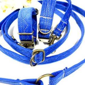 Classic Set Royal Velour Halsband & Leine