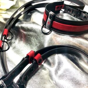 BioThane Glossy Red