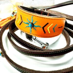Halsband / Leine Sun Vibes