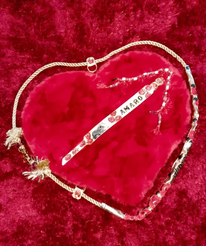Halsband mit punziertem Lederschild auf einem roten Samtherz