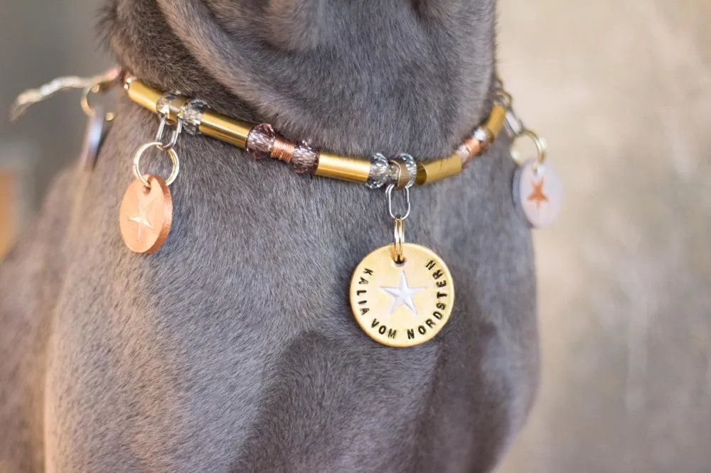 Nahaufnahme eines Halsbands mit Lederanhänger und Messingschmuck