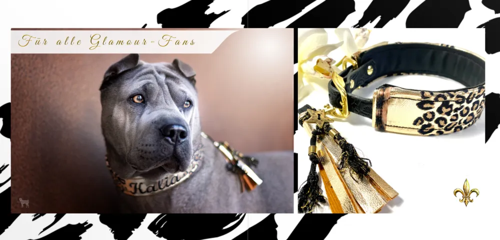 Halsband mit goldener Quaste neben dem Hund, der es trägt