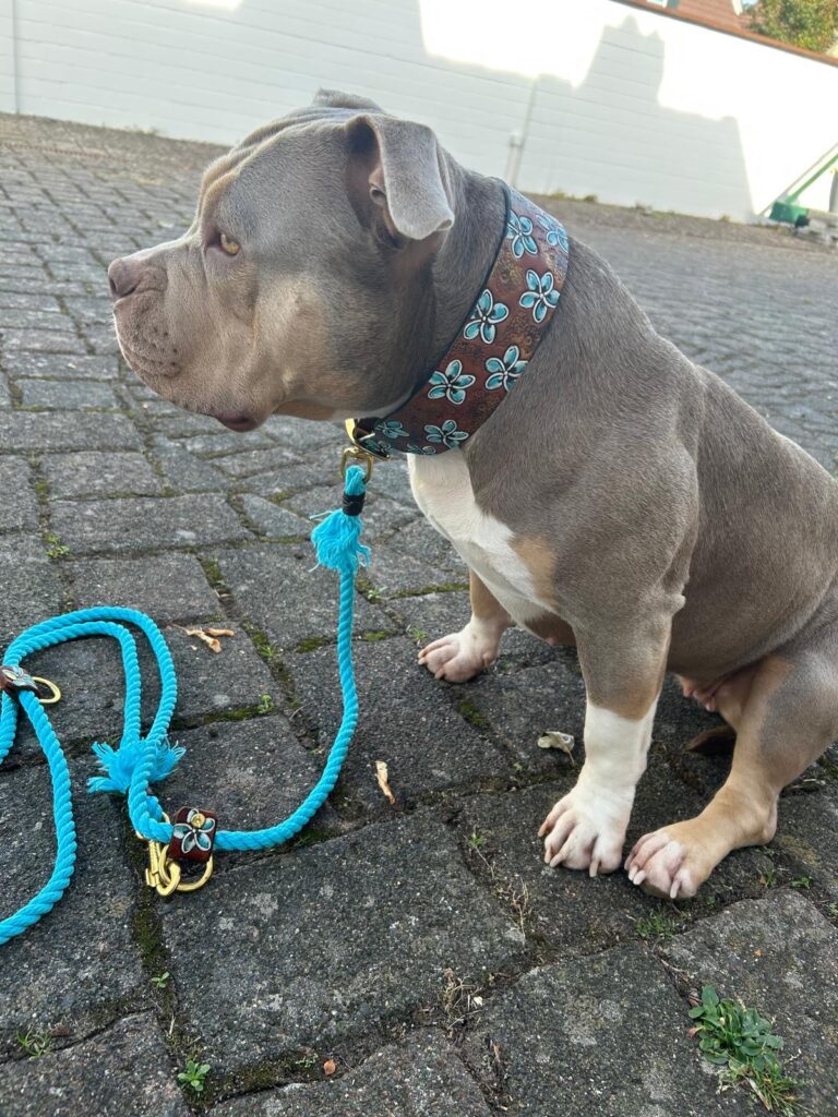 Großer Hund mit Blüten Halsband in Leder handbemalt